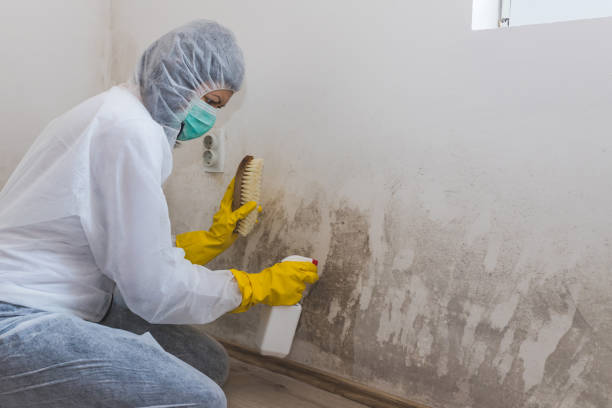 Best Airborne Mold Testing  in Good Hope, CA