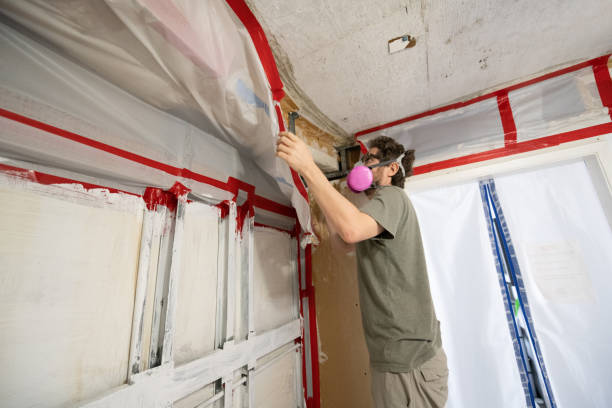 Biohazard Mold Removal in Good Hope, CA