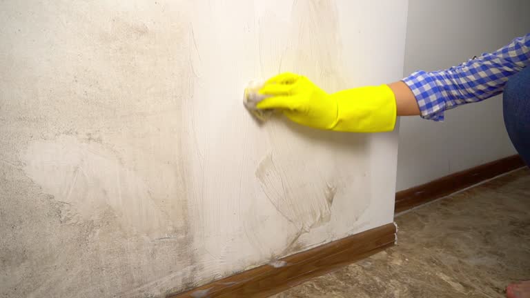 Best Air Quality Testing for Mold Spores  in Good Hope, CA