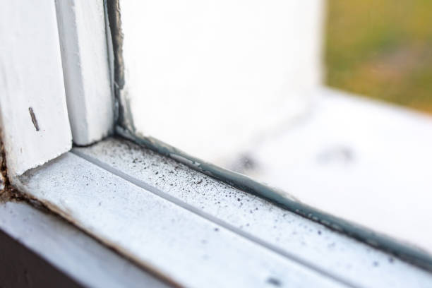 Best Asbestos and Lead Testing During Mold Inspection  in Good Hope, CA