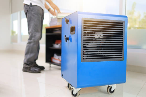 Best Mold Odor Removal Services  in Good Hope, CA