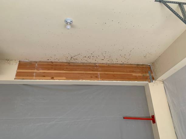 Best Indoor Air Quality Assessment  in Good Hope, CA